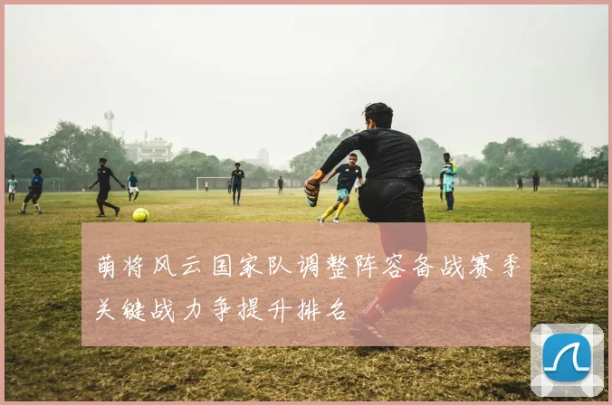 萌将风云国家队调整阵容备战赛季关键战力争提升排名