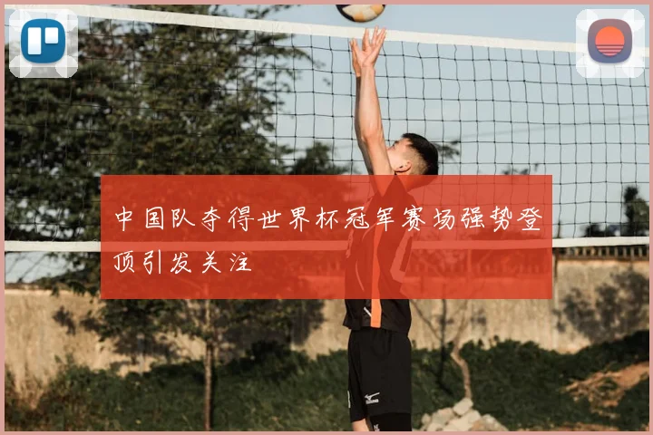 中国队夺得世界杯冠军赛场强势登顶引发关注