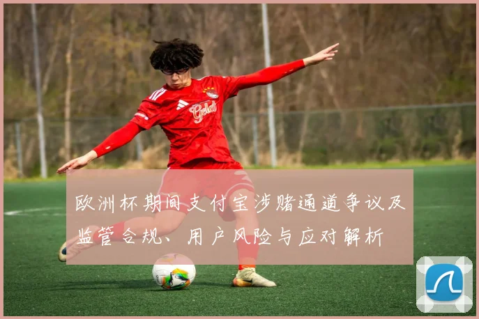 欧洲杯期间支付宝涉赌通道争议及监管合规、用户风险与应对解析