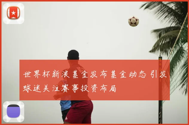 世界杯新浪基金发布基金动态 引发球迷关注赛事投资布局