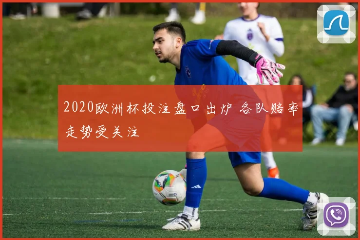 2020欧洲杯投注盘口出炉 各队赔率走势受关注