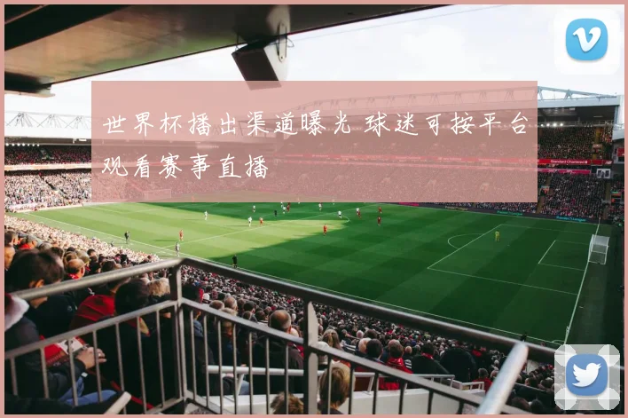 世界杯播出渠道曝光 球迷可按平台观看赛事直播
