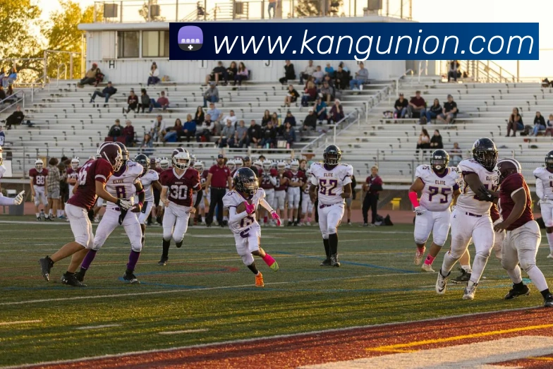 pg娱乐电子游戏官网登录入口发展历程